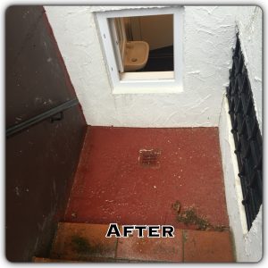 Renovation2